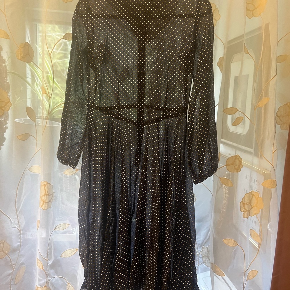 Elegant Vintage Sheer Navy Polka Dot Dress